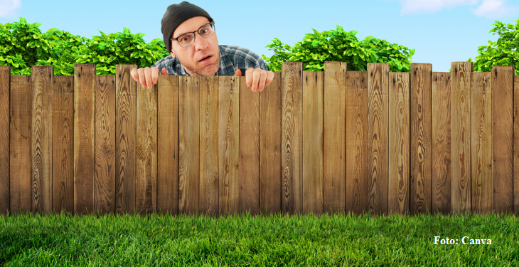 A grama do vizinho é mais verde do que a sua?
